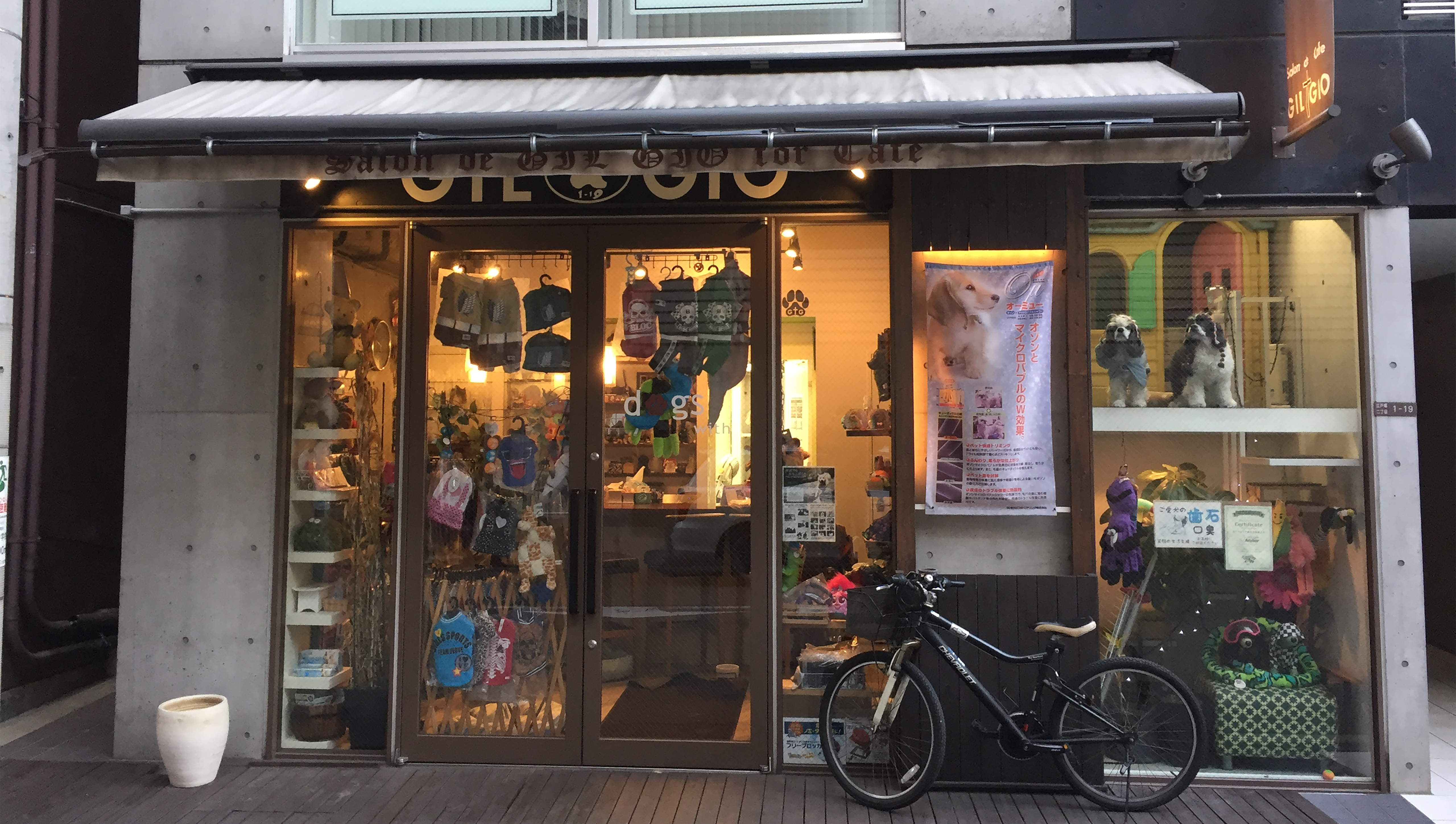 GILGIO（ドッグサロンジルジオ）｜大阪市西区江戸堀靭公園のトリミング